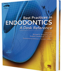 Best Practices in Endodontics: A Desk Reference
