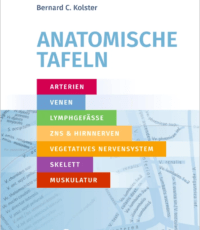 Anatomische Tafeln