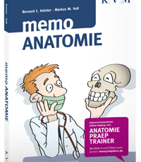 memo Anatomie