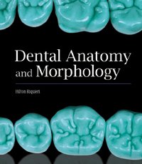 Dental Anatomy and Morphology